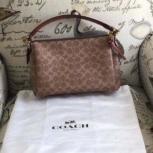 Coach Shay bag (the smaller one)